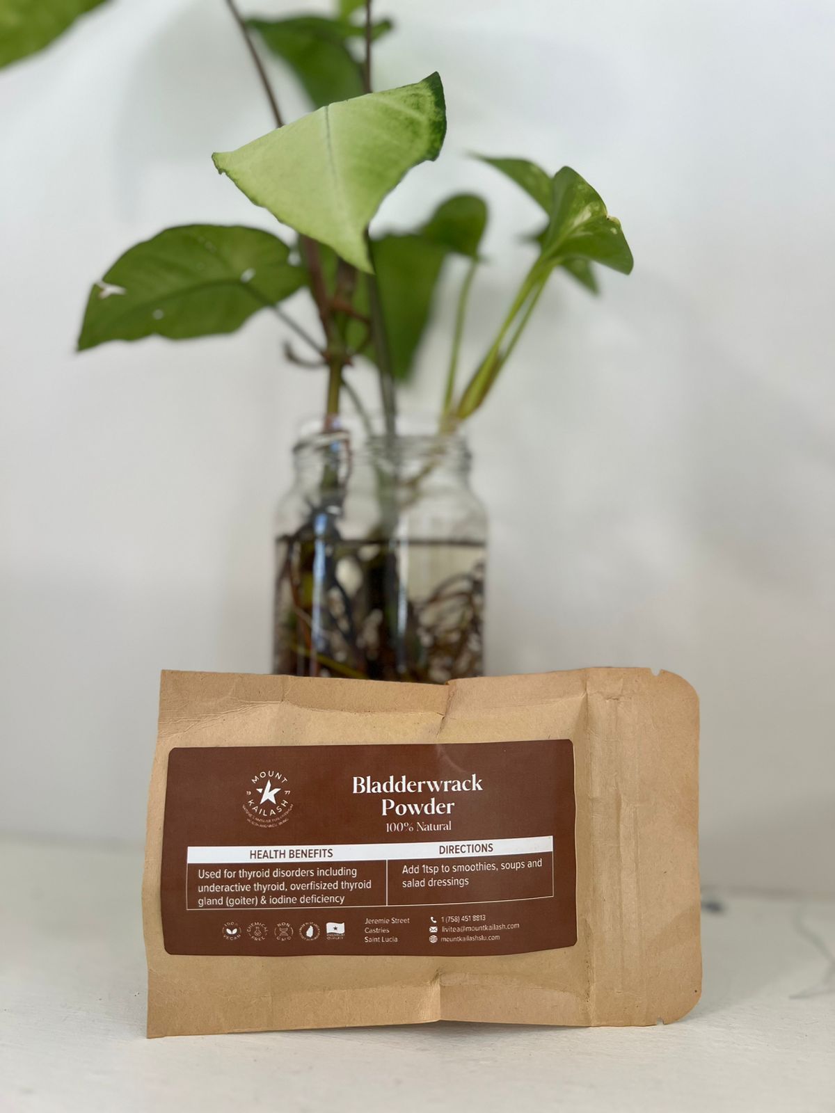 Bladderwrack powder