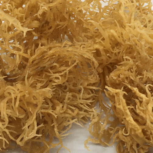 St. Lucia Gold SeaMoss